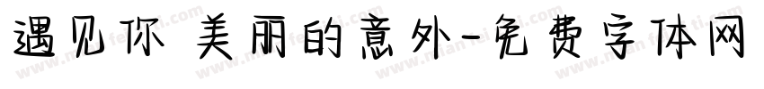 遇见你 美丽的意外字体转换